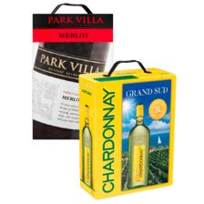 Grand Sud of Park Villa 